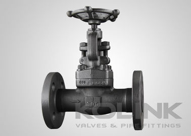 Ventilateur à billes en acier forgé fiable, capot bouillé, extrémité en bride jusqu'à 2 pouces