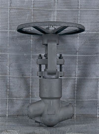 Vanne Globe en acier forgé PSB CL2500 A105 F11 F22